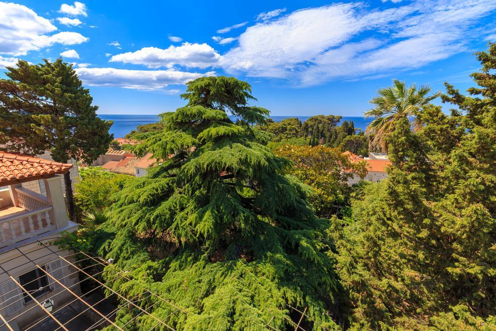 Hedera Estate, House Hedera V Villa Dubrovnik Bagian luar foto