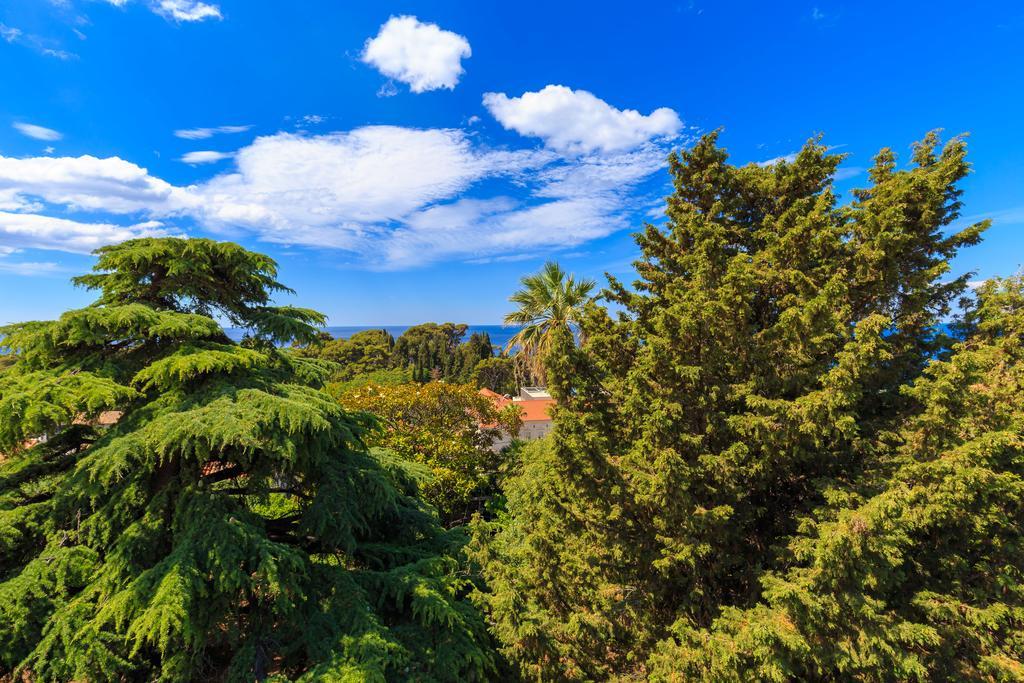 Hedera Estate, House Hedera V Villa Dubrovnik Bagian luar foto
